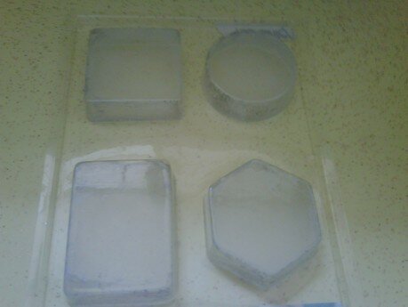 img00274-20090601-1407 How to Create Mini Stepping Stones crafts